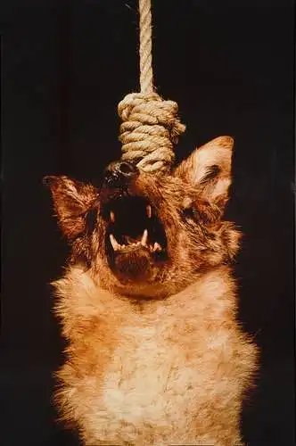 Kokias emocijas jums kelia A. Serrano "The Scream" (1986)?
