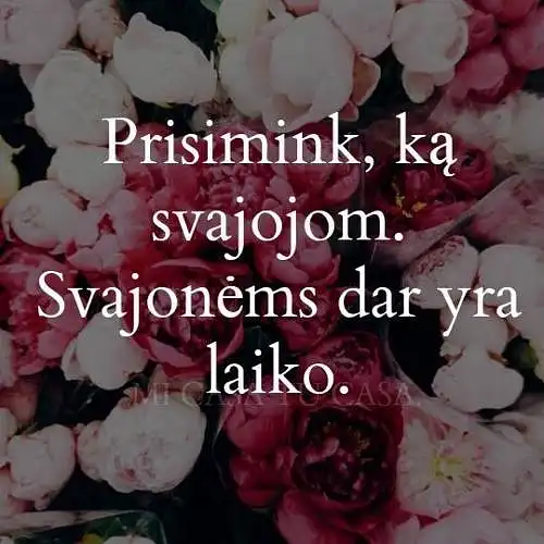 Kokia jusu nuomone apie kluba?
