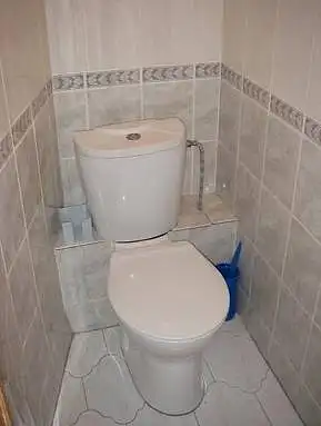 APIE TUALETA