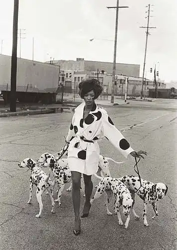 How much money do You spend on Your Dalmatian a month?