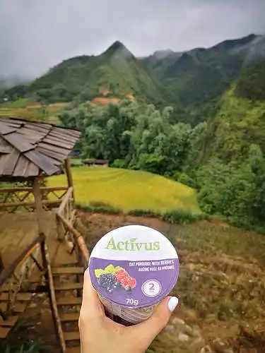 Vietnamas