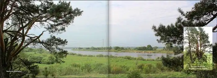 Ar ši teritorija jums patraukli kasdieniniam poilsiui? Pvz.: pasivaikščiojimui, stebėjimui ir kt.