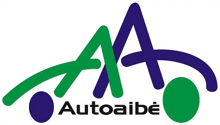 UAB "AUTOAIBE" elektroninės parduotuvės tobulintini logistiniai procesai
