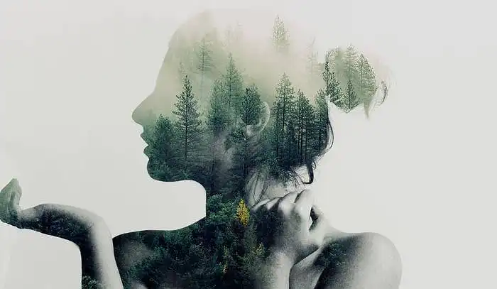 Would you buy this kind of poster?