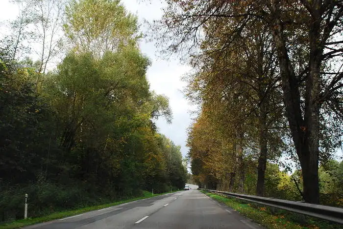 Įvertinkite vaizdą Nr. 13-R