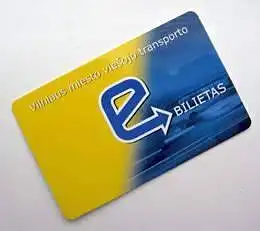 Kokio tipo bilietą dažniausiai naudojate?