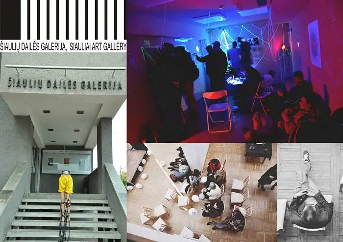Šiaulių Dailės galerijos renginių paklausos ir pasiūlos analizė 
