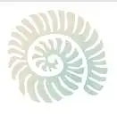 6. Ar esate matę šitą logotipą?