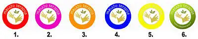 Kokios, Jūsų manymu, spalvos logotipas yra tinkamiausias masažo terapijos kabinetui?