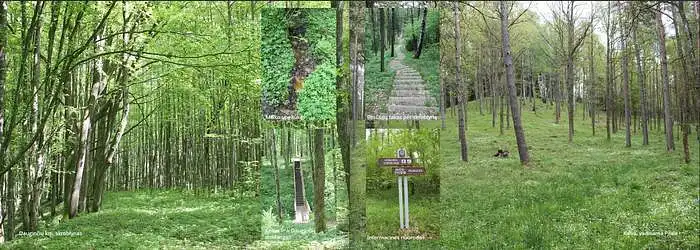 Ar ši teritorija jums teikia estetinį pasitenkinimą?