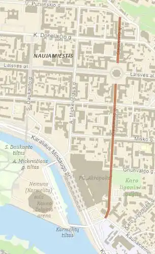 Kauno Gedimino gatvės revitalizacijos galimybių tyrimas