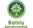 KAIP JŪS AKTYVIAI DALYVAUJATE „BALSIŲ BENDRUOMENĖS“ VEIKLOSE?