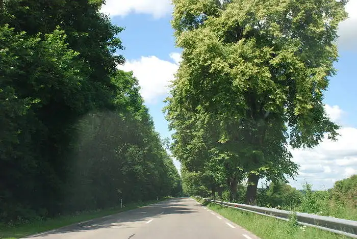 Įvertinkite vaizdą Nr. 11