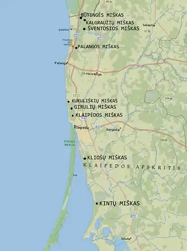 Kiek kartų per metus ir kuriuose Baltijos jūros ir Kuršių marių kranto zonų miškuose lankotės?