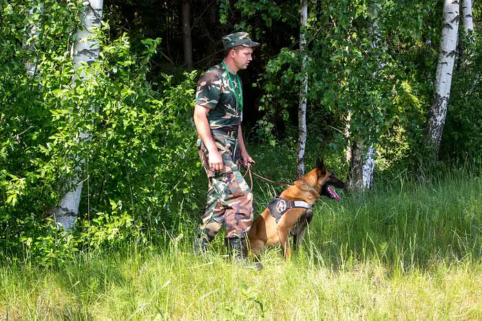 Ar gyvūnas yra/turi būti traktuojamas kaip valstybės viešasis turtas ar kaip pareigūnas?