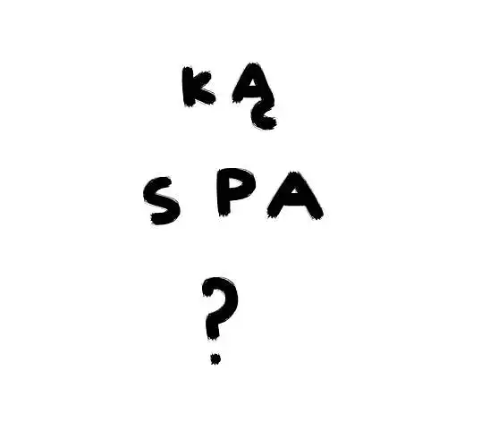 Šnipiškių Spa – kas tai ?