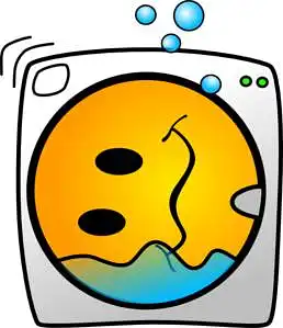 The survey about the self-service laundry