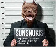 Kokias emocijas jums sukelia šios lauko reklamos sprendimas :