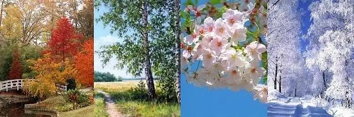 Kuriuo metų laiku dažniausiai vykstate į kelionę? 