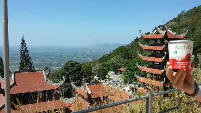 Vietnamas