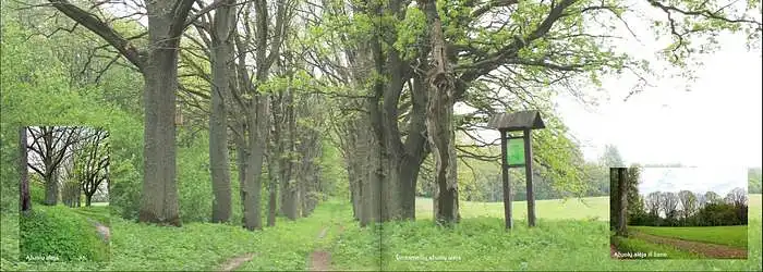 Ar ši teritorija jums patraukli kasdieniniam poilsiui? Pvz.: pasivaikščiojimui, stebėjimui ir kt.