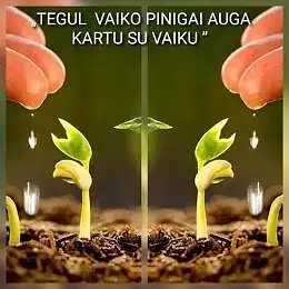 Investavimas ;