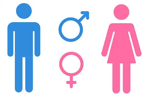 What is your gender?