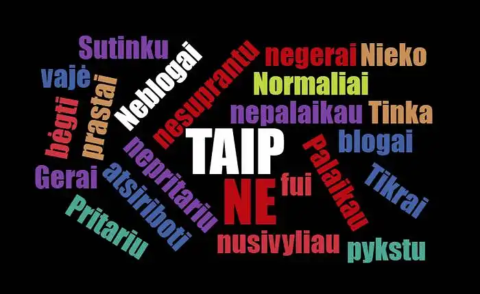 2019 m. LR savivaldybių tarybų rinkimai Vilkaviškio rajone