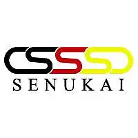 “Senukai“ reklamos sprendimų internete tyrimas