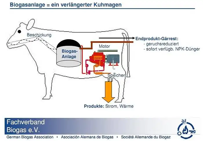 Regional Renewable Energy Scenarios