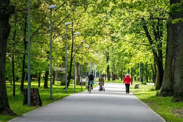INOVATYVIŲ SPRENDIMŲ POREIKIS KAUNO MIESTO ŽALIAKALNIO ĄŽUOLYNO PARKE