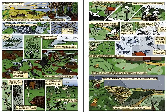 Dar kartą peržvelk komiksą ir atsakyk į kelis paskutinius klausimus.