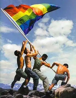 Homoseksualai. Jūsų požiūris į juos?