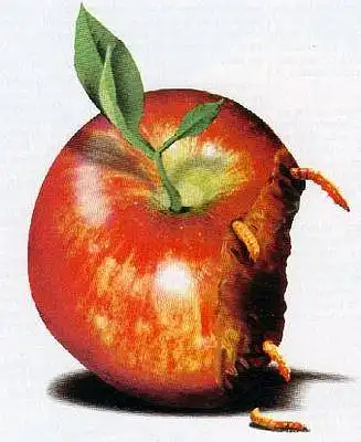 Mac OS is