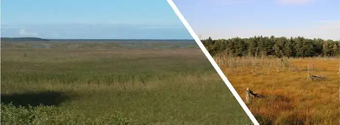 3.15. Kiek jūsų gerovei svarbus pelkių, šlapynių, užmirkusių pievų kraštovaizdis? 
