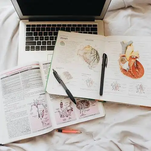 LSMU I-III KURSO MEDICINOS STUDENTŲ GYVENIMO BŪDO IR STUDIJŲ VIDURKIO SĄSAJOS 