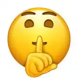 Koks yra Jūsų amžius?