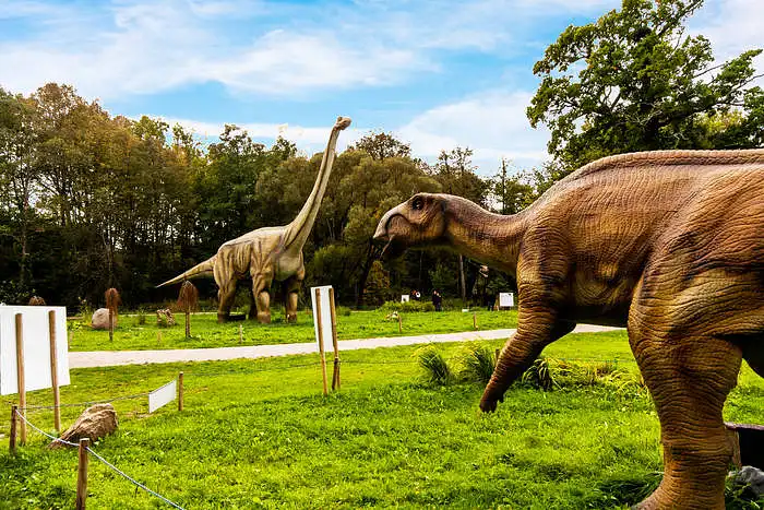 Dino parko Dino.lt Radailiai organizuojamų pramoginių renginių pasiūla ir perspektyvos