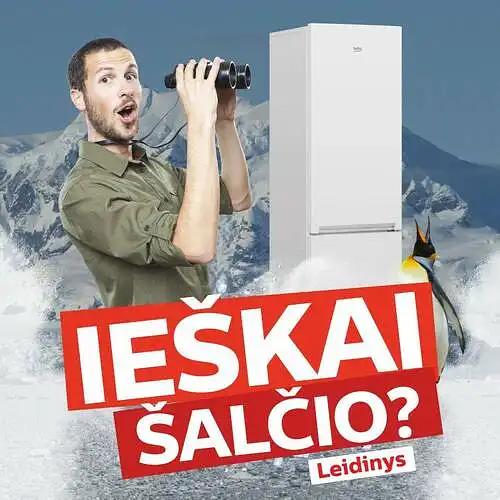 Ar yra tekę matyti šią parduotuvės "TECHNORAMA" reklamą?