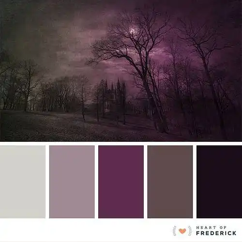 Violetinės