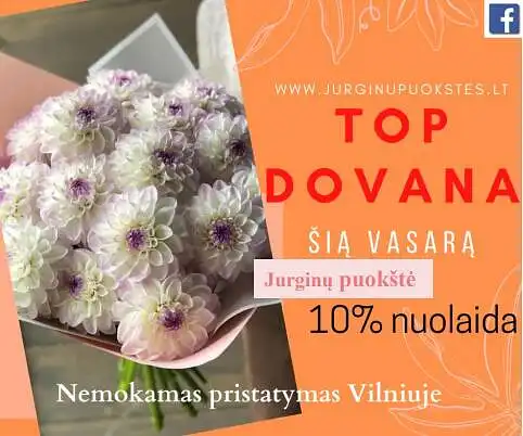 Ar Jus sudomino šį jurginų puokštė? Ar norėtumėte ją užsisakyti ? Nemokamas gėlių  pristatymas Vilniau mieste.