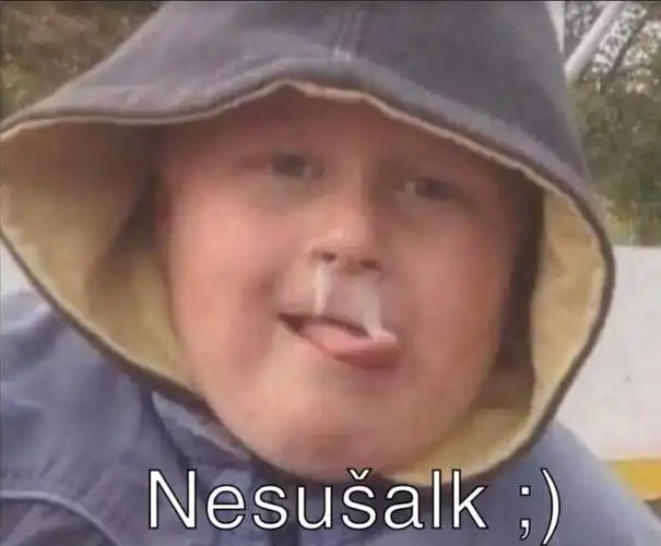 Naminiai ledai