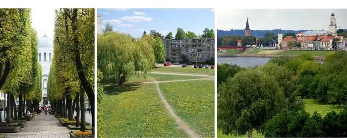 3.10. Kiek jūsų gerovei svarbūs miesto parkai (žaliosios zonos)?