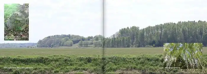 Ar ši teritorija jums patraukli kasdieniniam poilsiui? Pvz.: pasivaikščiojimui, stebėjimui ir kt.