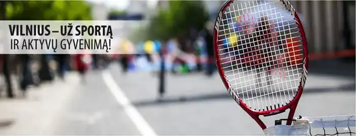 FIZINIS AKTYVUMAS VILNIAUS MIESTE (sporto organizacijų, klubų, įstaigų, būrelių apklausa)