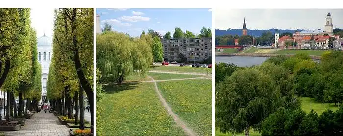 3.10. Kiek jūsų gerovei svarbūs miesto parkai (žaliosios zonos)?