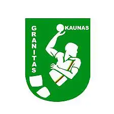 3.	Kaip dažnai lankotės Kauno rankinio klubo „Granitas – Karys“ varžybose?