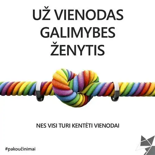 Ką manote apie šį memą?