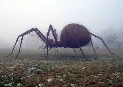 Kaip vertinate šią karklų kompoziciją?