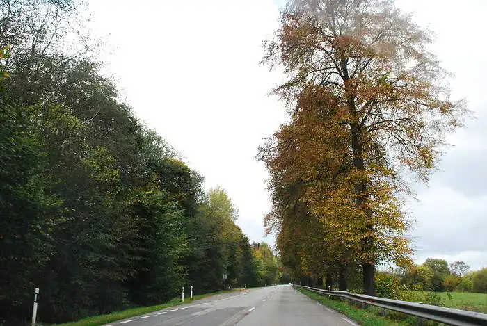 Įvertinkite vaizdą Nr. 11-R